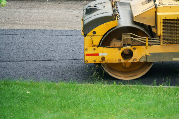 Best Decorative Driveway Pavers  in Carthage, MO